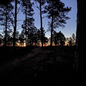 Meet your Posher, Jack